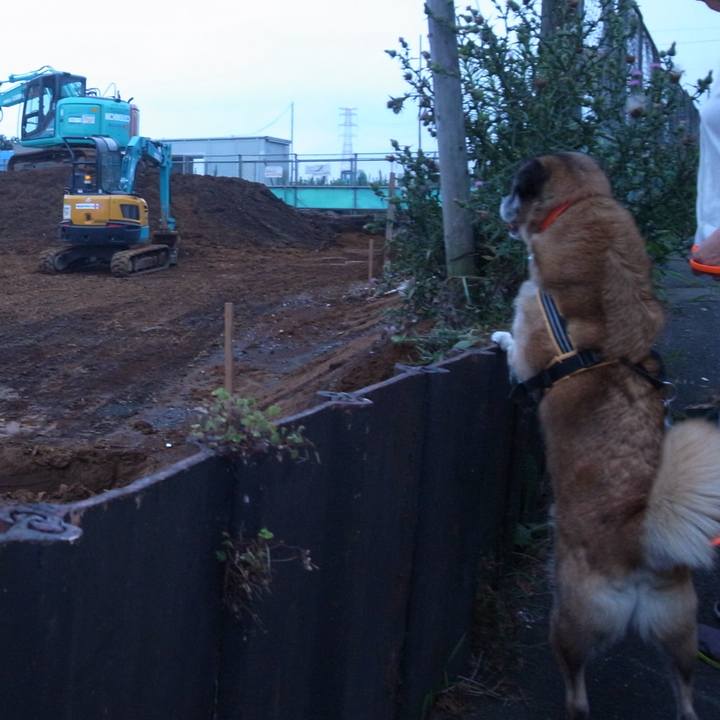 5b88897c 1479 433f bbac b2baa3c24f0a 1588122653735