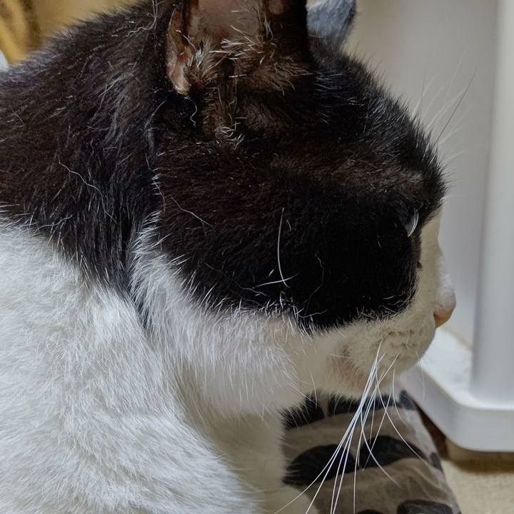 5b88b0f9 7b27 4c7e a43c 6be8c39bb4b5 1630620063534