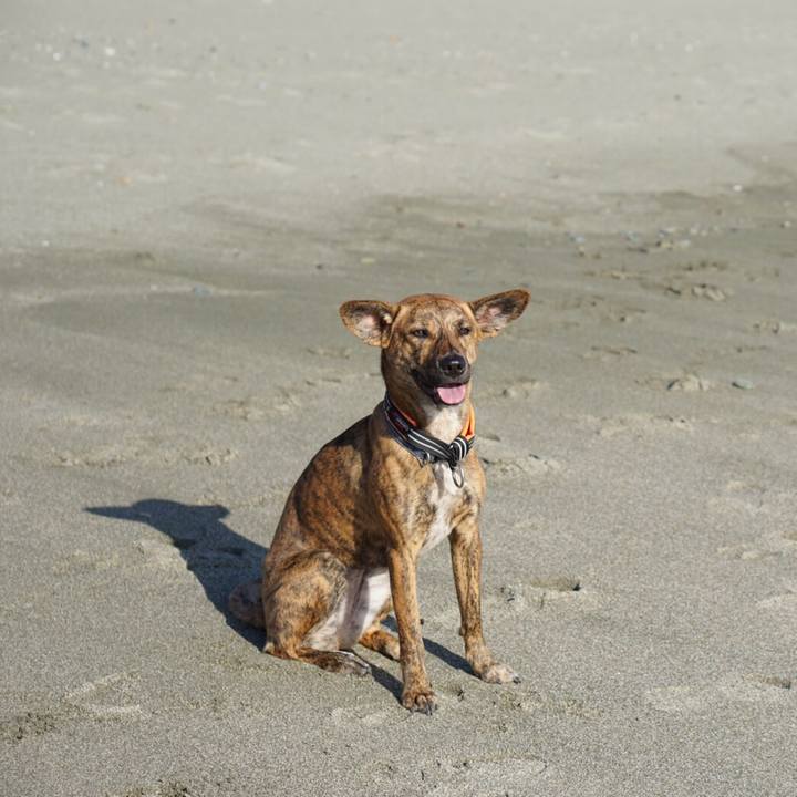 5b88b54e 3b27 401c 80c0 96f10ad2e1fa 1585492964304