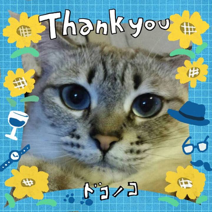 5b88b590 1ee7 4bdc 9d4b 9dfbe73db54a 1717605091096