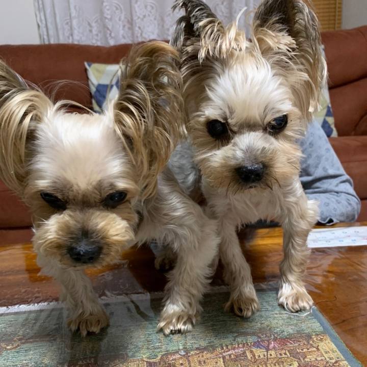 5b88bee9 2ea5 4d49 a19d 5ec983053019 1663667631029