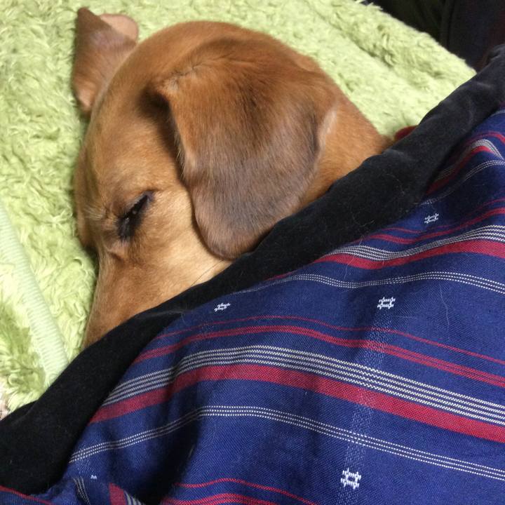 5b88c98e dcf5 4528 8e62 2676da60d11a 1510102953821