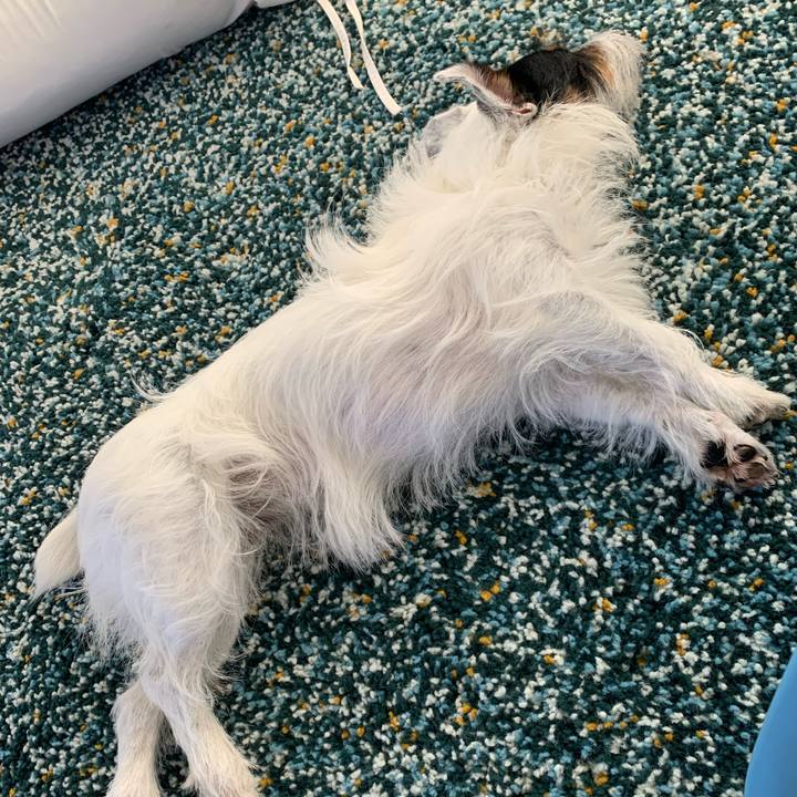 5b89268a 9e0c 42dd 8f10 84063a9e25f8 1597038675341