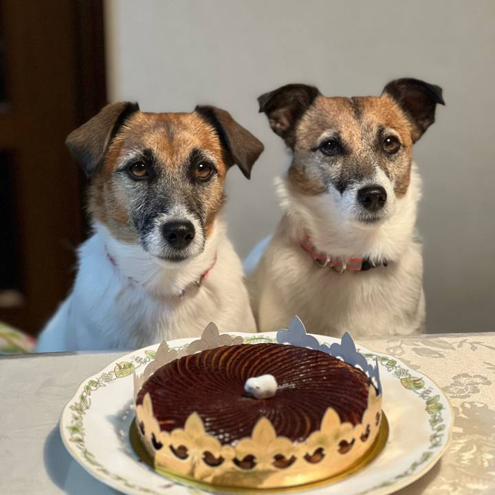 5b894a0f a561 486d 8516 153b9e314cef 1673177133575