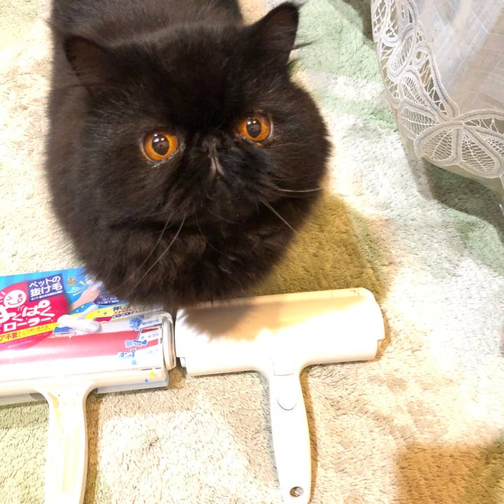 5b8967a0 0003 44ce 99d8 dc021781a05f 1535795388819