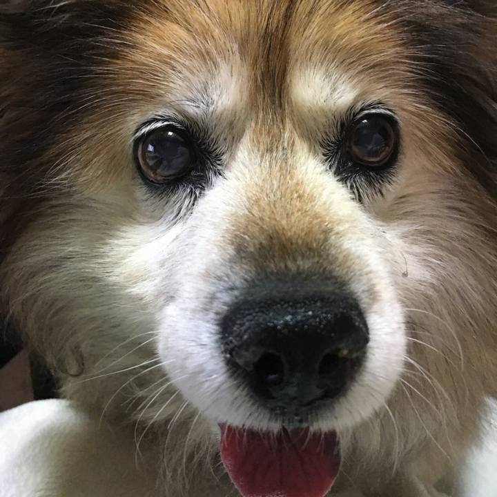 5b896823 769a 4269 bf4b 603e73b74a02 1594126383520