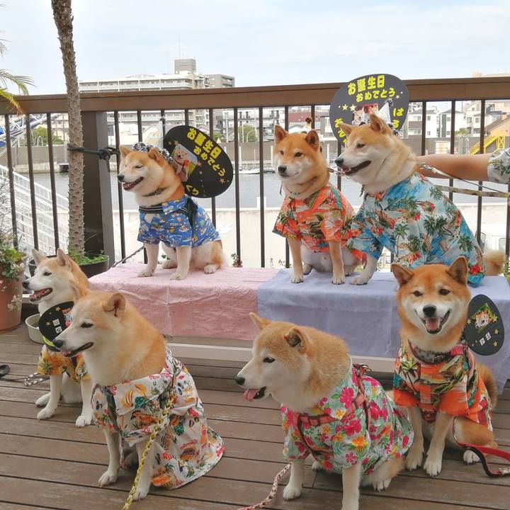 5b897c29 4a30 436e aae0 9e4c6e24a916 1661143939876