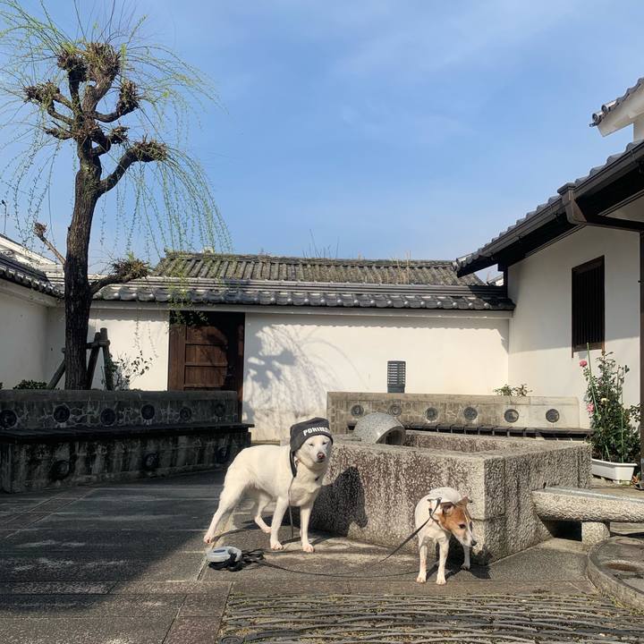 5b898ba1 899b 4ef0 8b51 a24a26183788 1553303773128