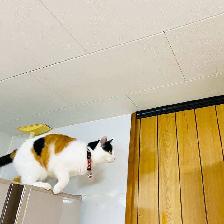 5b89aa58 109e 49d7 82db 09bc852236bb 1733405151096