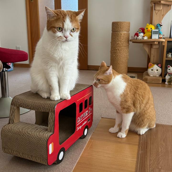 5b89b48f 87a1 430e 8e02 d811b211c569 1776484461491