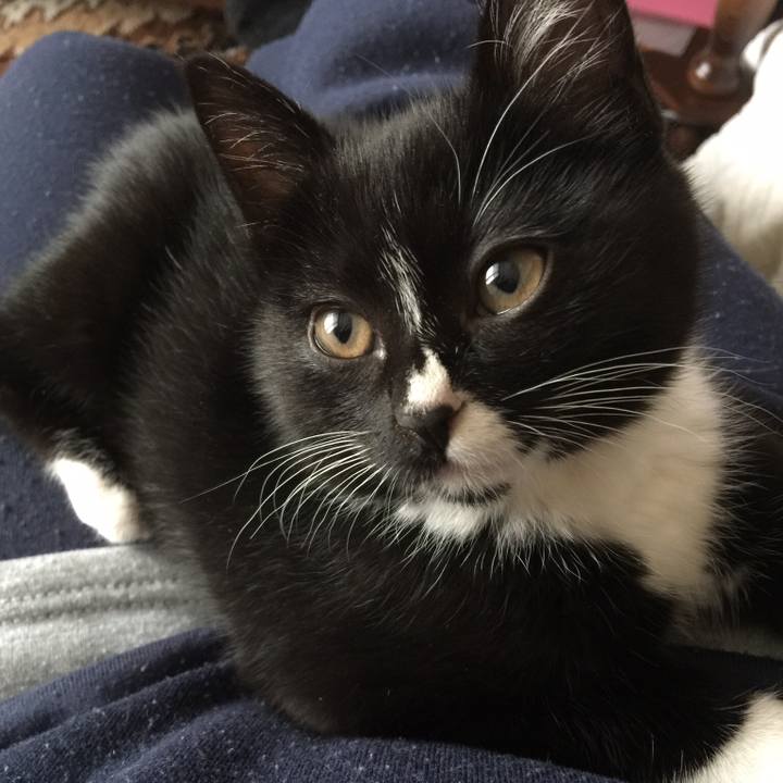 5b89bcd6 1c78 42a8 b53b d47e72a4d2de 1534729575812