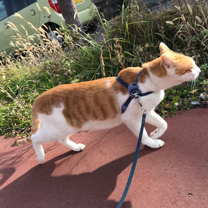 5b89c734 7141 4df5 a246 6238578f60bd 1511691367711