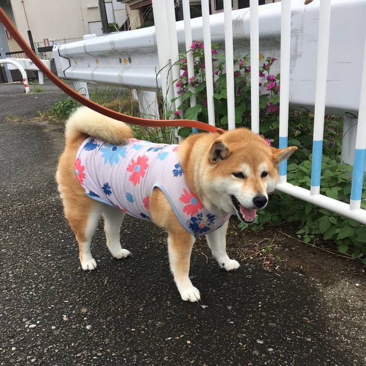 5b89d4a9 37f4 41f8 a232 036aa410815b 1563675998042