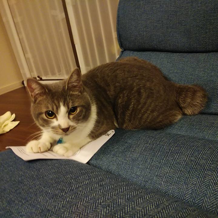 5b89d7fc 677f 47f3 b41d f3cf4a9b338d 1578838972676