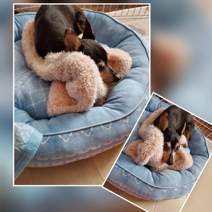 5b89f52b b171 467b a8b1 117d27a5e978 1697246497008