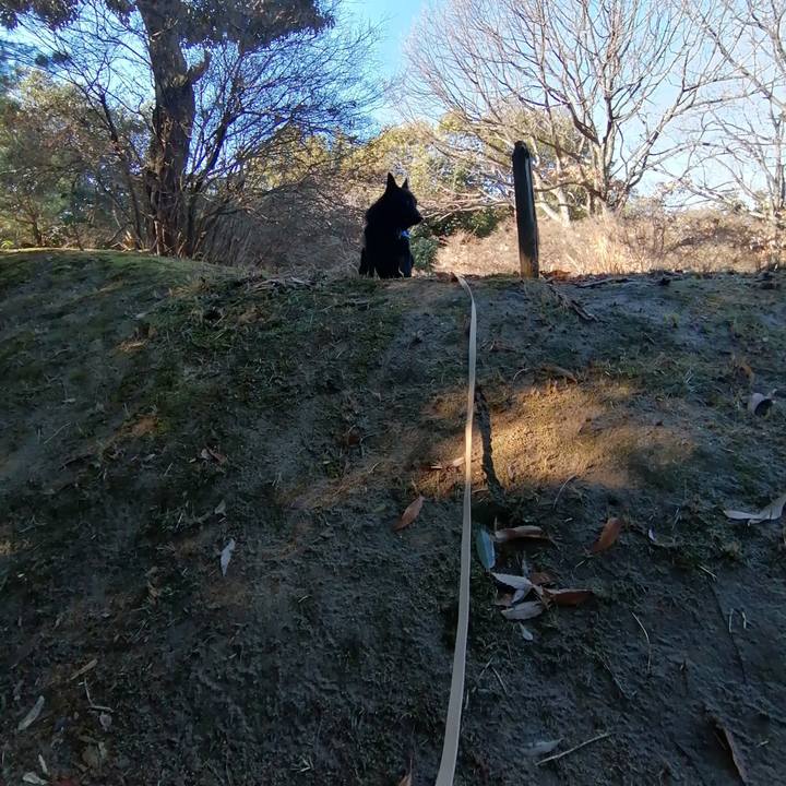 5b8a2a0b e251 42de 9ac1 ab331e268de1 1609540979374