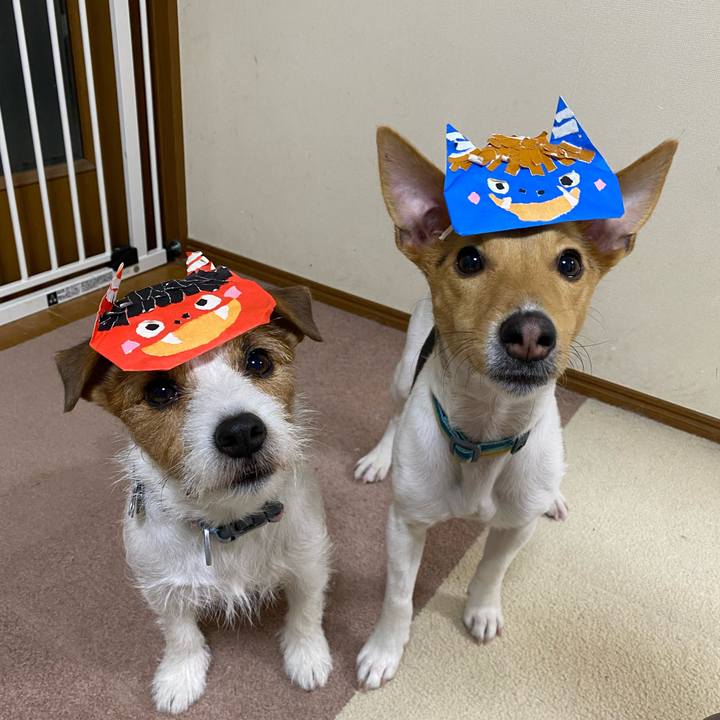 5b8a31ae cf80 4f99 81e2 21c506520c3c 1770115645211