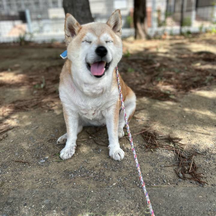 5b8a6047 74f1 43ab b801 818669a2b4de 1750638967558