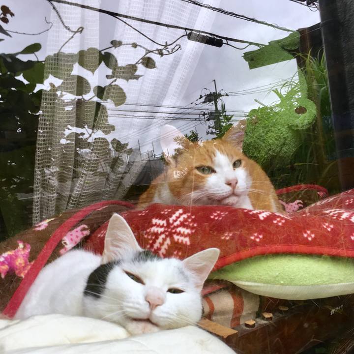 5b8a6693 39e7 44e7 be15 941580265af3 1563697427660