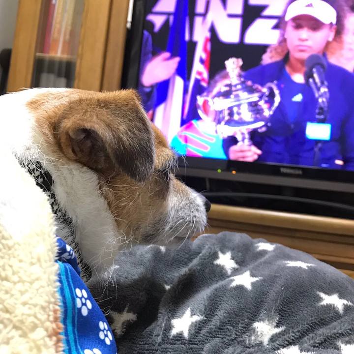 5b8a7c39 bcec 414a 975b f978c33dd23f 1548509506034