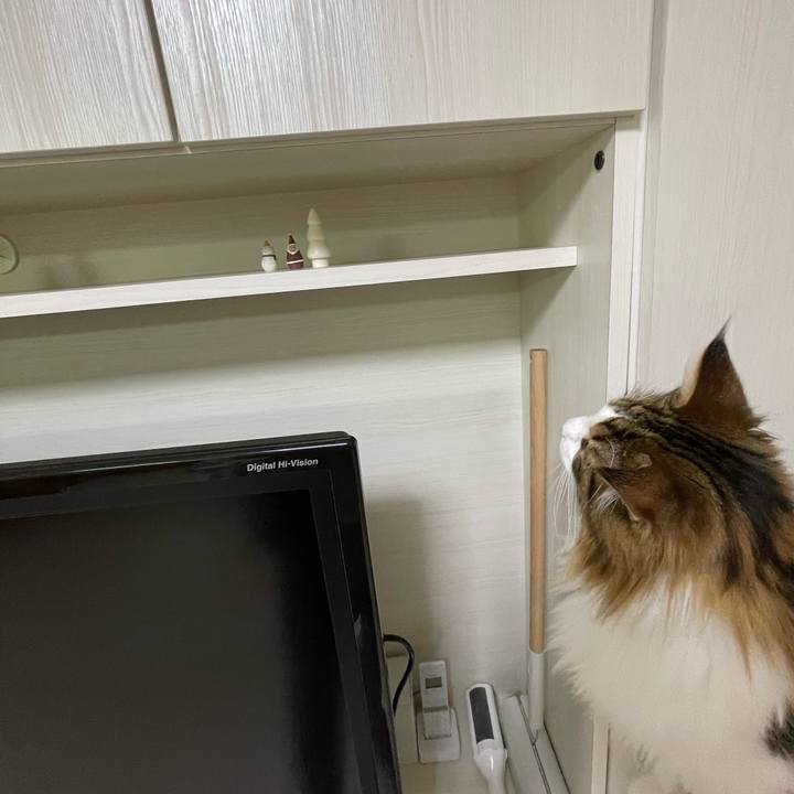 5b8a9f0b 3cca 4b38 8f81 20582009c959 1670534703206