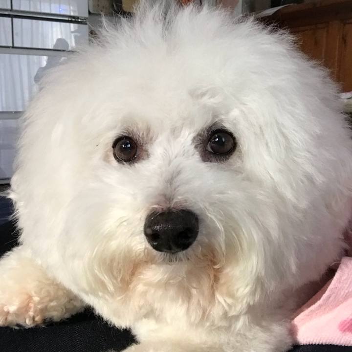 5b8aa0a0 5fa7 4c3a 9c6f ca884e60d9b6 1549090806209