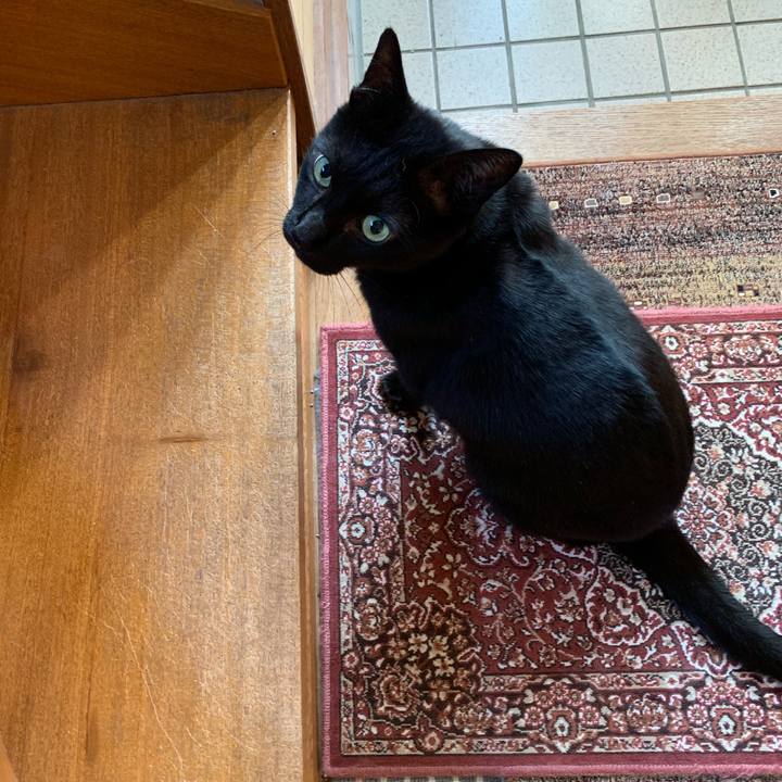 5b8aab28 7913 4a2e b020 96aaa734e1bc 1543109581937