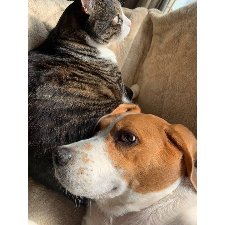 5b8aaf5f 2c2f 4f80 a3a2 a95d5bdbacbb 1648891306055