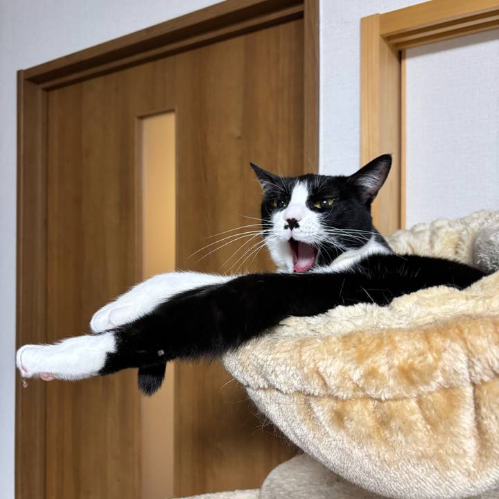 5b8ac38b 6954 484d b45a 4db74f137ef4 1770774948170