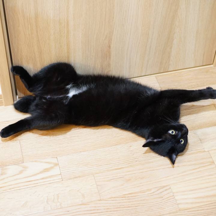 5b8ac44e 15f6 4bab 971e a068c9eb1210 1531530990139