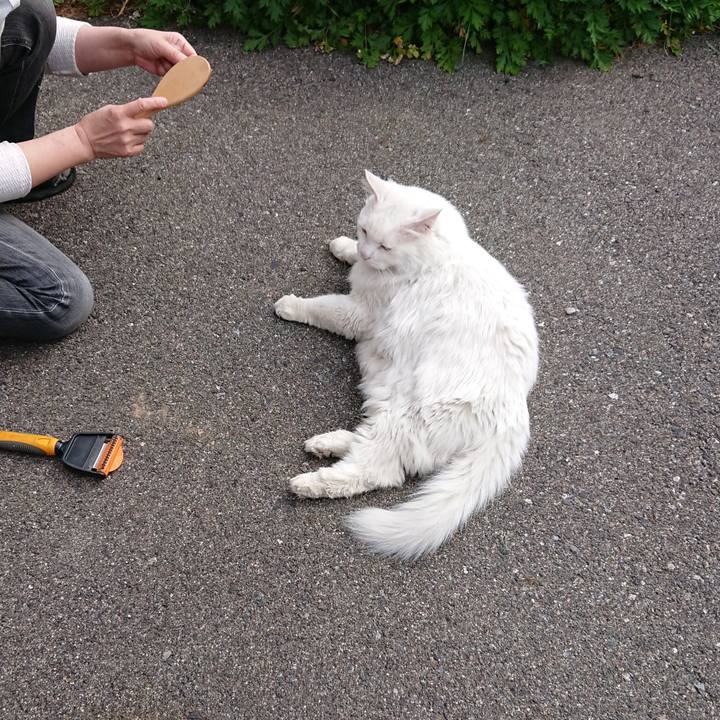 5b8ad759 46f8 4693 9520 7385208283ce 1559600848153