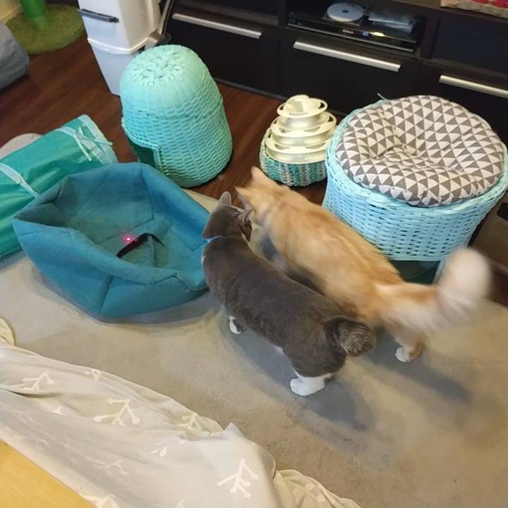 5b8add99 0336 40aa 93b1 0da7c9c8f42e 1636538457586