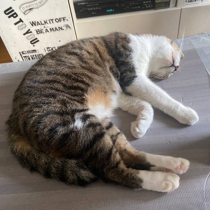 5b8af451 ddce 4d90 988e 44f788f287ec 1631344239755