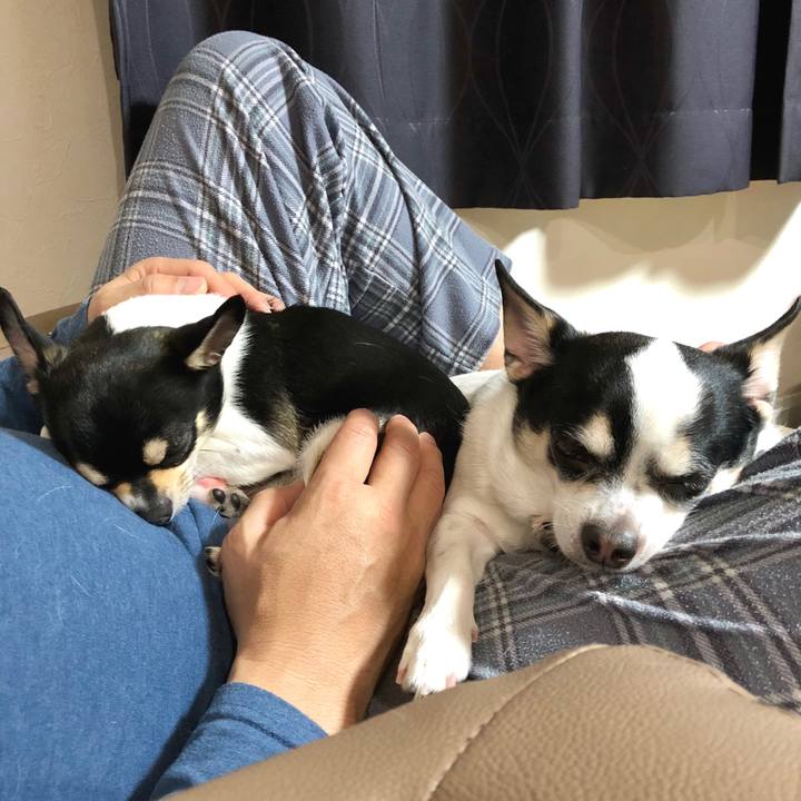 5b8b0540 4dd2 41f6 b2ed 3aba439b3027 1521372013136