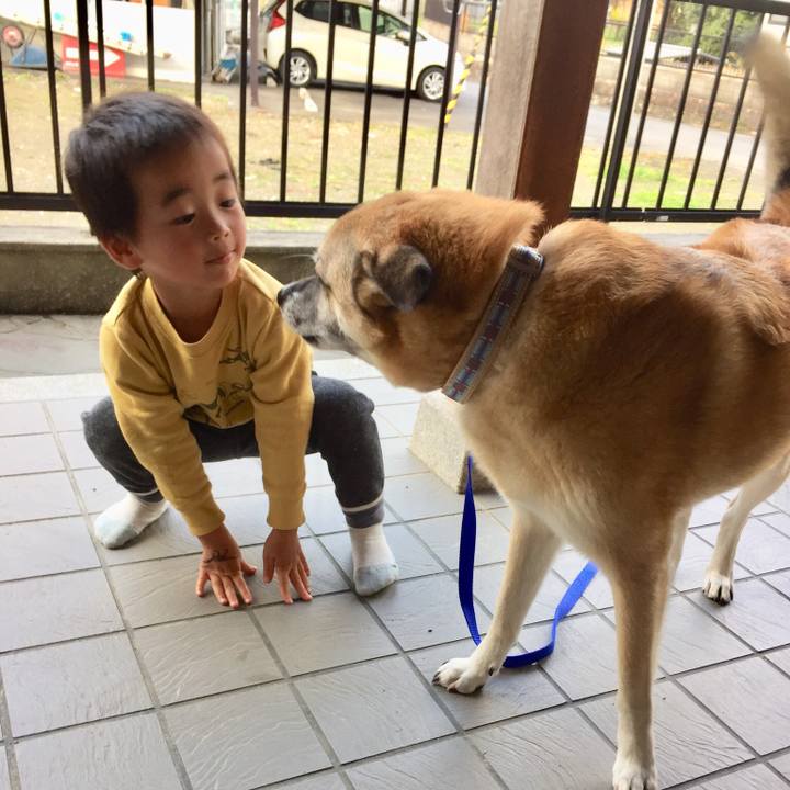 5b8b2d6f bd80 4896 9f24 23b7a66a4119 1540638328067