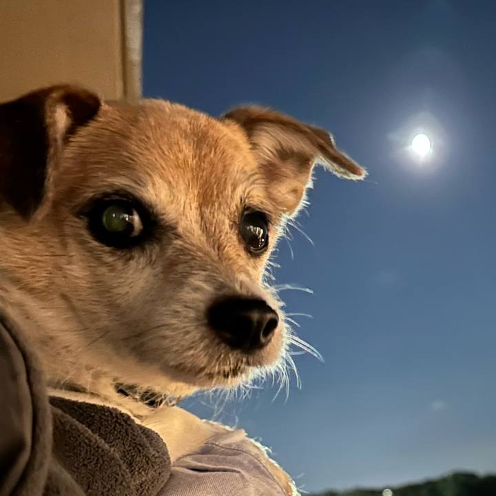 5b8b4302 e137 449c 8241 eaffed475089 1667900403713