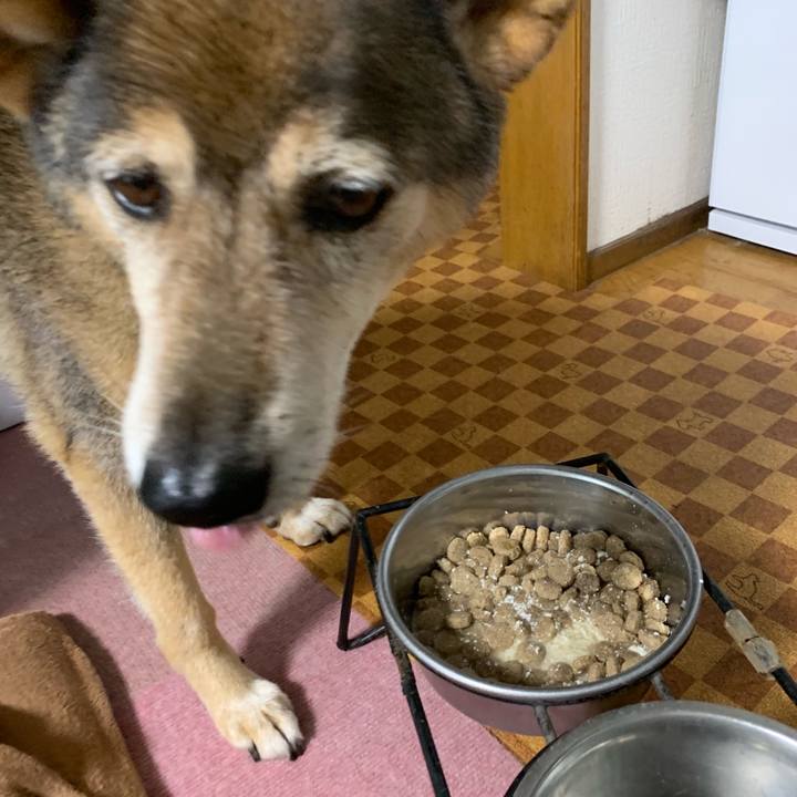 5b8b45d9 a431 49bd 86c8 e0779b00af6d 1562029143806