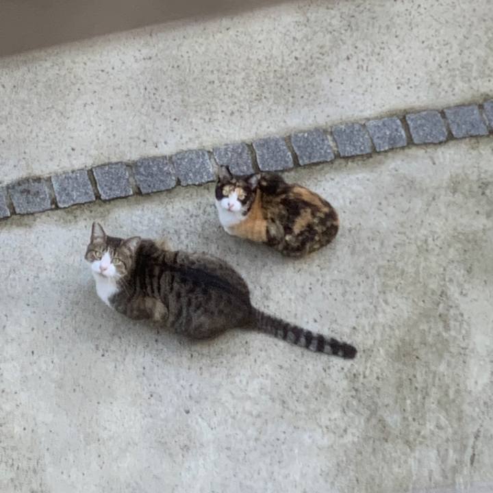 5b8b5c4d 34e2 4400 afee 5343bd2a9fb2 1570921811598