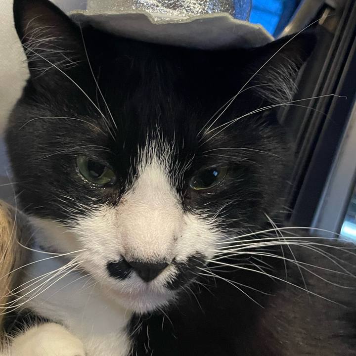 5b8b61e5 1eba 4a9b a622 88581c9711d4 1683942044504