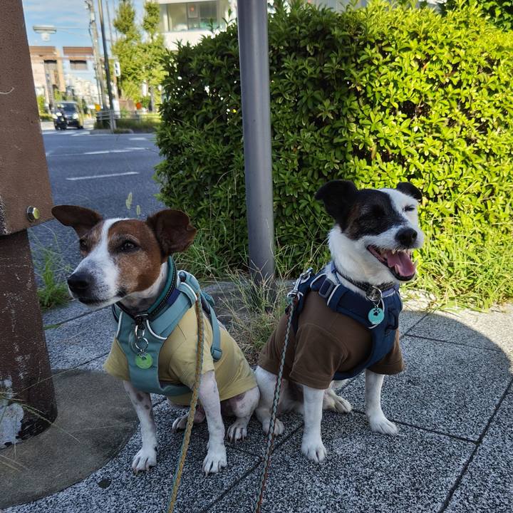 5b8b6371 4996 49da b0bd 86985c9e60b7 1726352861834