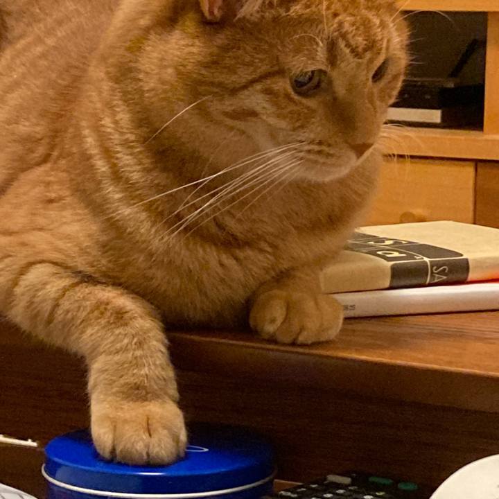 5b8b773c 1ed8 47b3 9e2c 4ac2a910b480 1724127449313