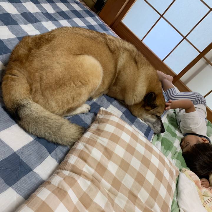 5b8b9b67 a0af 4f4e 8280 7e0706d51d8b 1596957564983