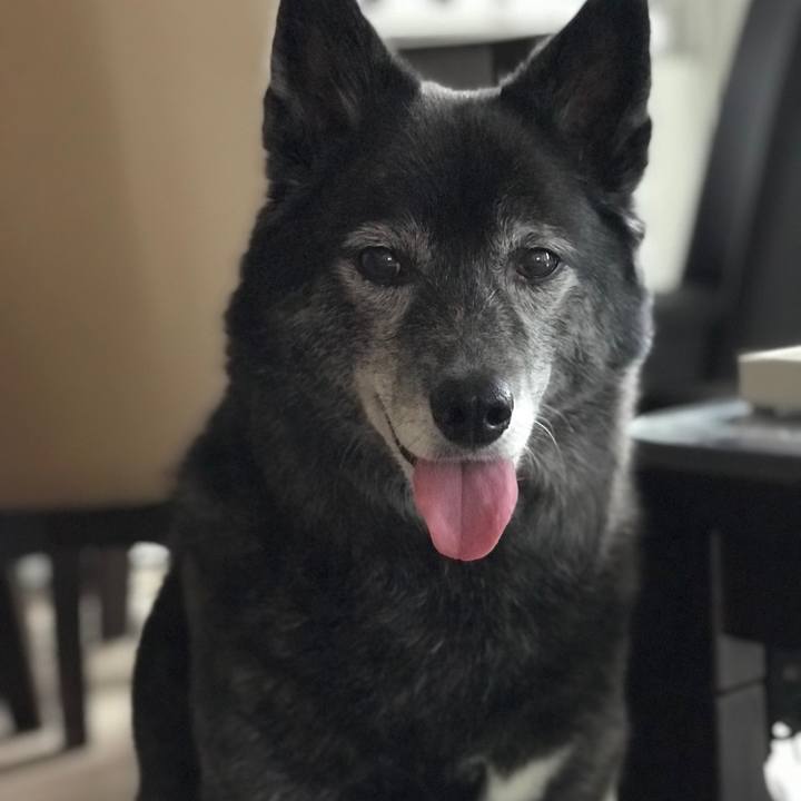 5b8bd205 036a 4ed0 8720 a1d9f595b70d 1589630400542