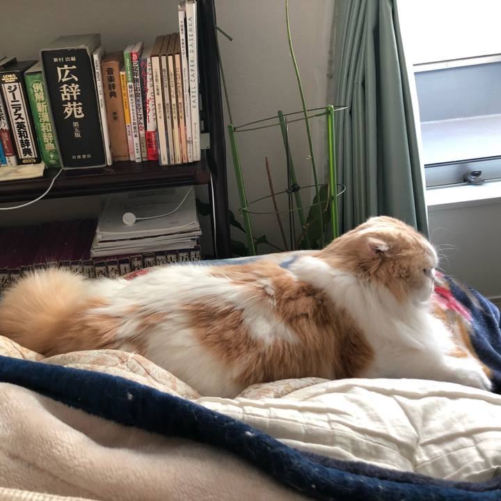 5b8bd308 db25 44ae 8df7 bbe2438207db 1614510329620