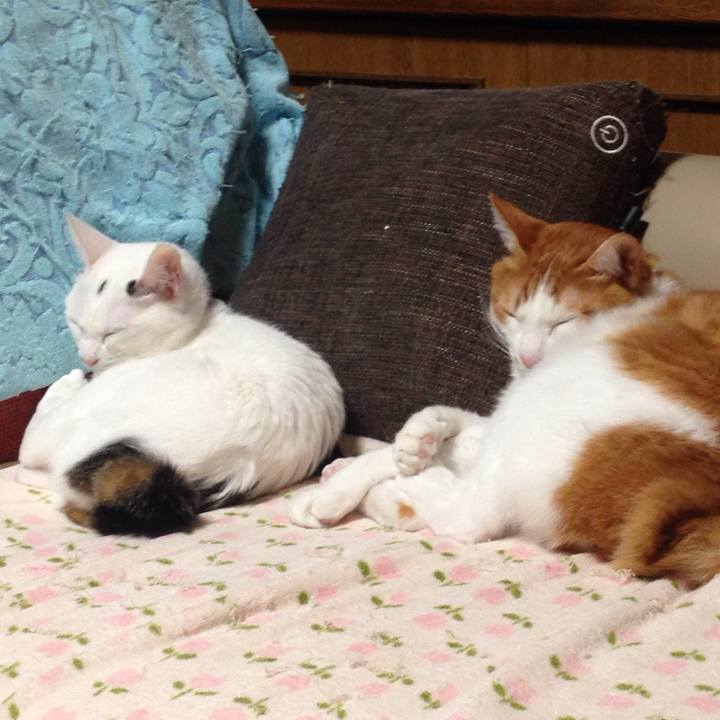 5b8c3091 1e35 4055 9e61 908db21ab114 1509797686640