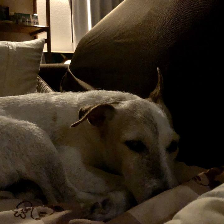 5b8c47b9 d687 4f1f 9387 a99baea90b2b 1538319080067