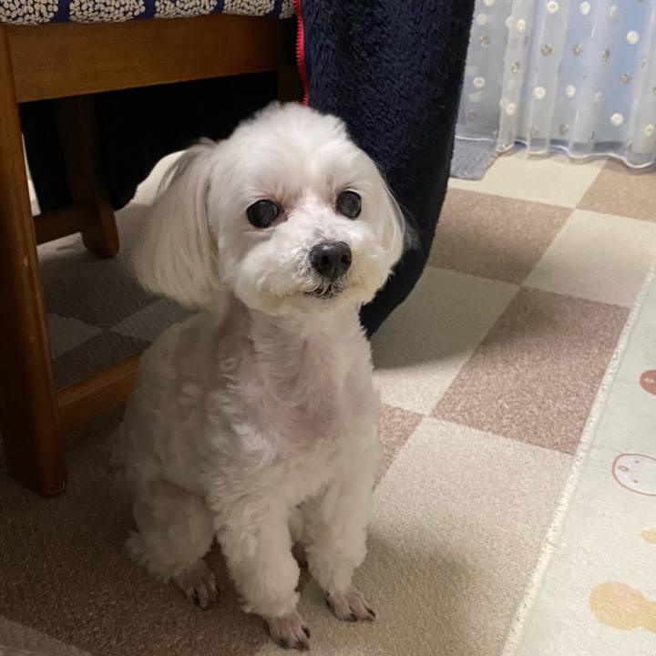 5b8c5316 c622 45cd 964a 949a9ec330b2 1678366125895