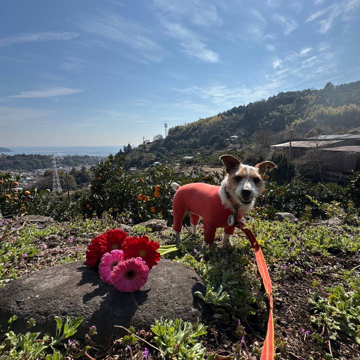 5b8c5a62 b594 4f95 acd0 c84c3bdd1b46 1771069490467