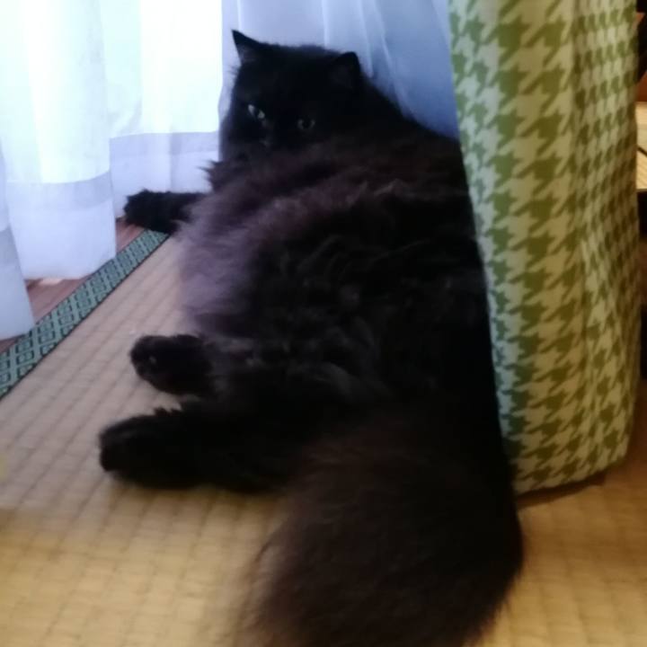 5b8c5af3 7c2e 48c2 8329 cc974e08f002 1531384111418