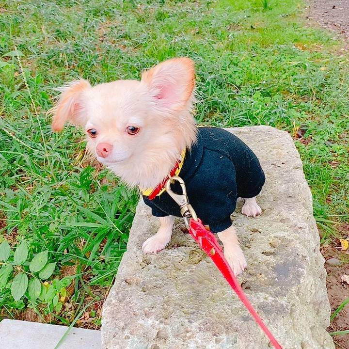 5b8c7108 8e52 4415 bab8 0fcf9ac55838 1634037572010